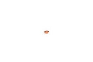 Picture of Flexflair - TROMPETENRING 3/8 SAE - FLEXFLAIR, Art.Nr. :CIF-2102-000