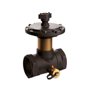 Bild von Flamco - comap - Passim DN 50 2" IG 60-100kPa m. ELE, Art.Nr. : MN80597.583